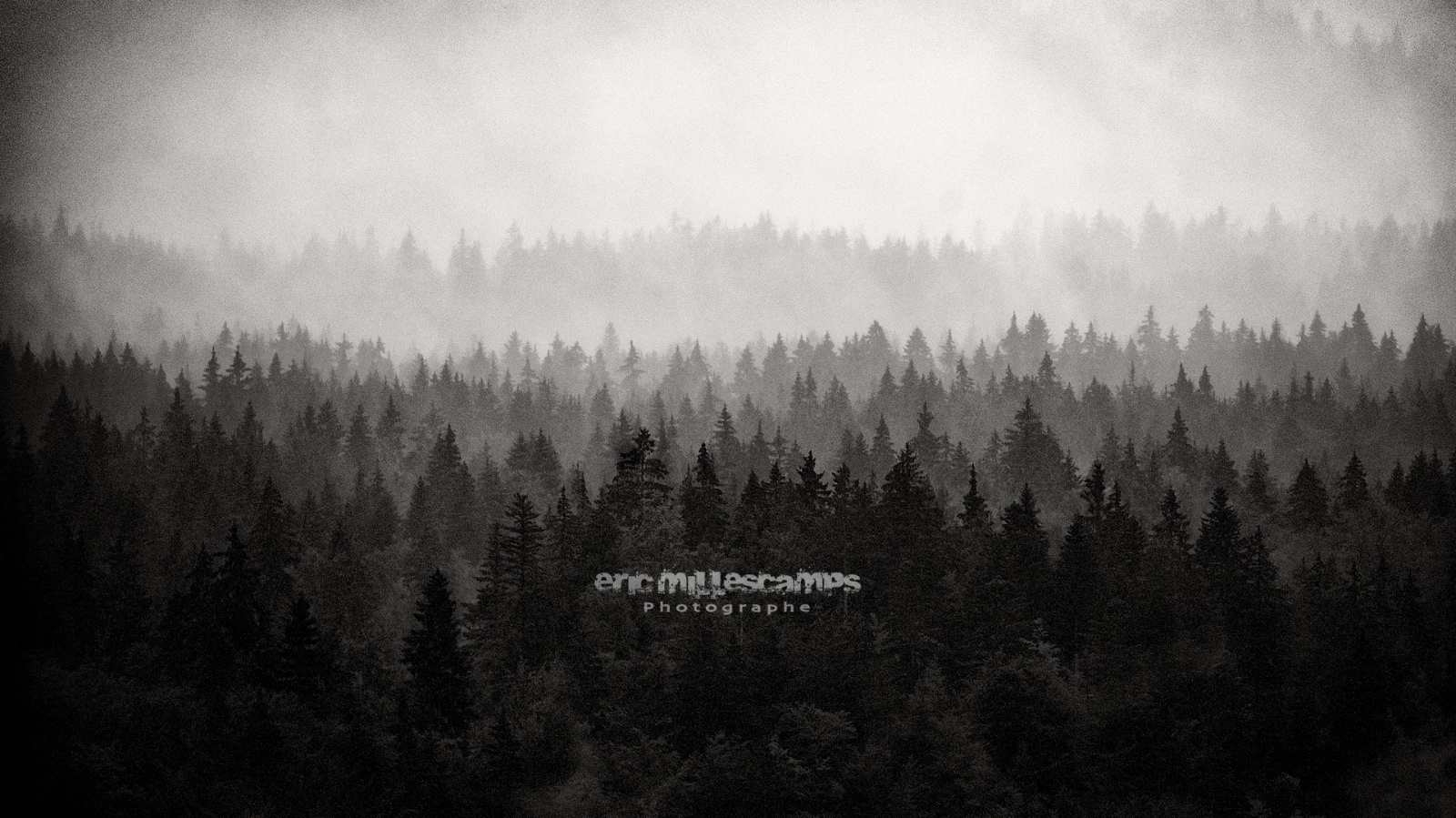 DSC07217   Version 2